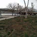 پارک ساحلی کرافشان