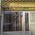 مرغ و ماهی ساحل