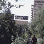 رستوران ارکیده (شعبه مجتمع گلها)