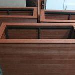 مهدی قاسمی مبارکه