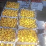 بازار بزرگ تعاون