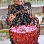 گلاب و عرقیات سیدشجاع سیدی نیاسر