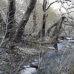 سراب فارسبان