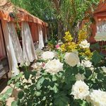 باغ رستوران رز rosegardenrest