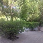 باغ رستوران رز rosegardenrest