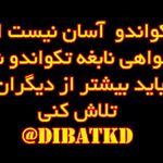 باشگاه تکواندو دیبازر (مجموعه ورزشی پرواز)