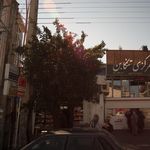 دکتر بهزاد دیلمی معزی