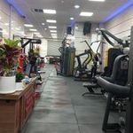 باشگاه بدنسازی احمد پایدار