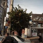 دکتر بهزاد دیلمی معزی