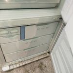 مصطفی قدیمی بخش