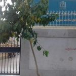 مرکز خدمات جامع سلامت شهری طیبه برادران رحیمی