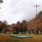 بوستان شهرداری