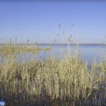 تالاب آلماگل (دریاچه سیب)