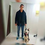 کلینیک حیوانات خانگی آراد