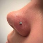 انجام کلیه خدمات پیرسینگ و میکرودرمال