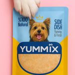 پت شاپ سزار