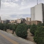 پارک