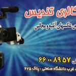 فتو گالری تندیس