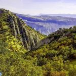 تنگ تامرادی