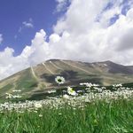 کوه سهند