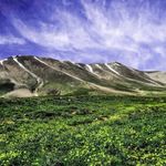 کوه سهند