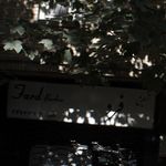 سالن زیبایی سودابه سنگری