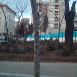 بوستان یادمان سبز