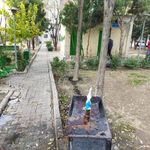 بوستان یادمان سبز