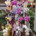گلفروشی الین