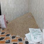 پسته فروشی رشیدی