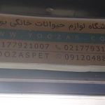 پت شاپ یوزاس