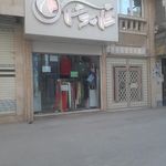مانتو کاندیدا