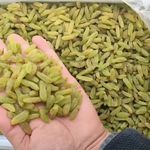 فروش عمده کشمش و مویز