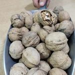 مواد غذایی سید محمد دوراندیش