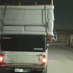رضا امینی