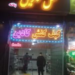 کیف و کفش زی زی