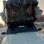 رضا امینی