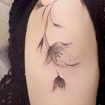 خدمات تخصصی آرایش دائم و تتو شکوه قاسمی