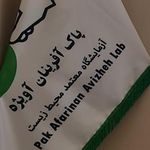 شرکت پاک آفرینان آویژه