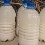 لبنیات سنتی اصیل