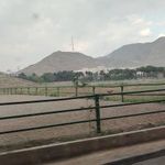 مجموعه سوارکاری قصر فیروزه شهدا