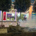 مرغ و ماهی زعیم