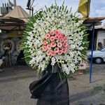 گل فروشی دنیز (آنلاین) -ارسال فوری