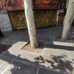 آجیل و خشکبار ممتاز دریان نو
