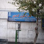 فدراسیون کبدی