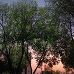 پارک قله