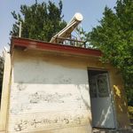بوستان رز سفید
