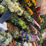 گلفروشی آریا