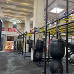 باشگاه شیر ایرانی