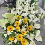 گلفروشی سی تو (ارسال رایگان)